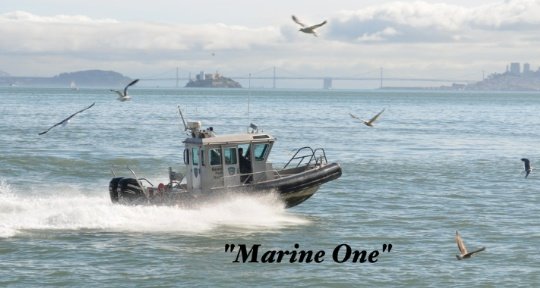 Marine Patrol
