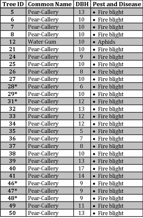 Pears